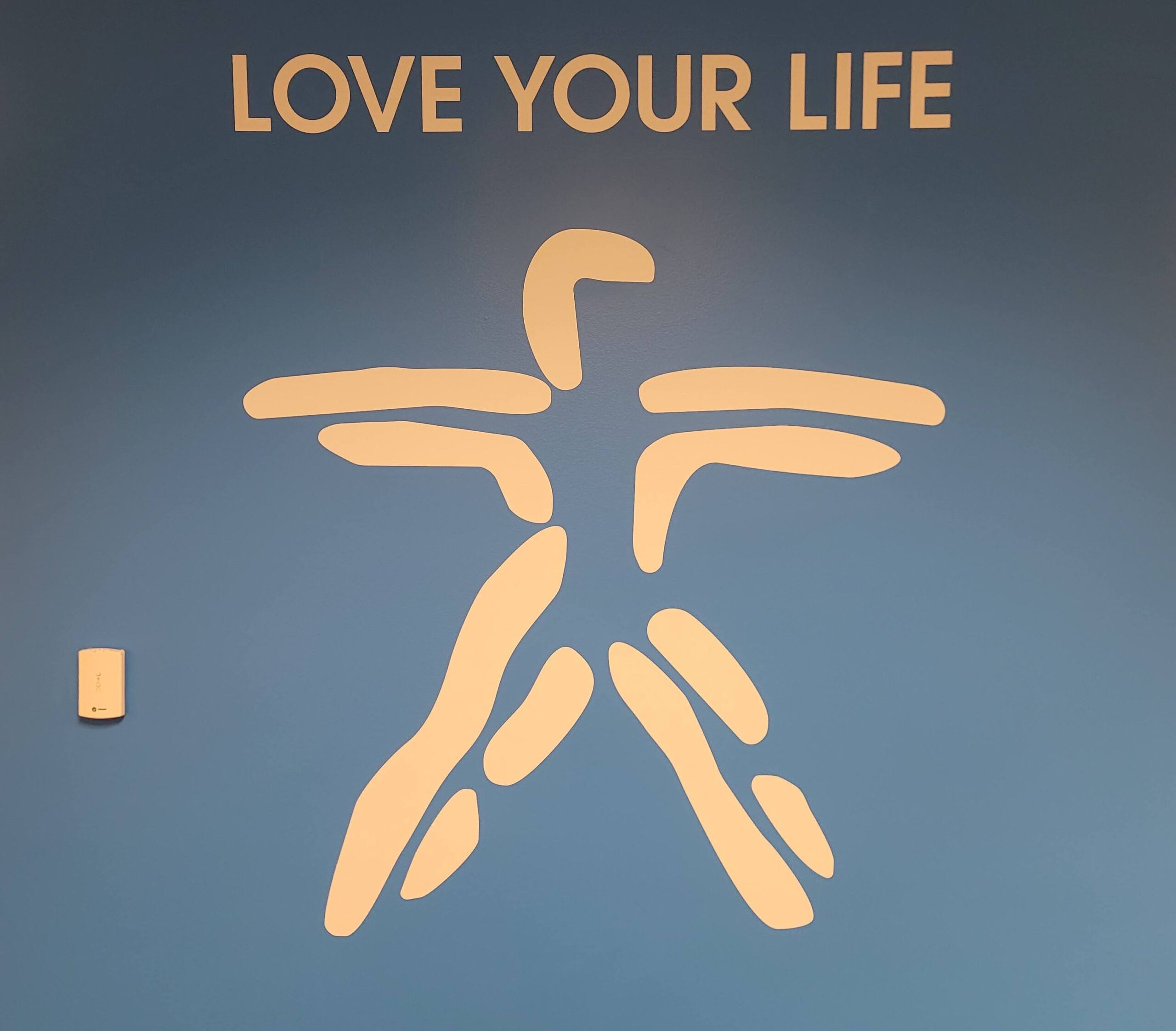 wall decal that reads "love your life" in Georgia