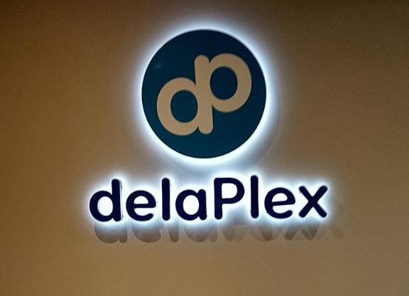 DelaPlex reverse channel letters sign in Georgia